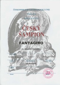 gira-cesky-sampion.jpg
