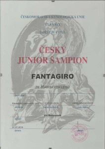gira-cesky-junior-sampion.jpg